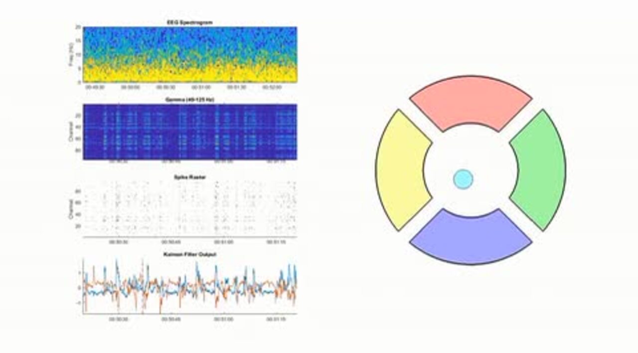 Learned Motor Patterns Are Replayed in Human Motor Cortex during Sleep |  Journal of Neuroscience