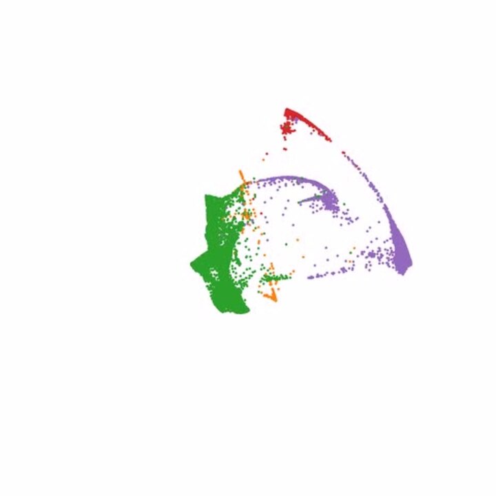 Anatomical Diversity of the Adult Corticospinal Tract Revealed by Anatomical Diversity of the Adult Corticospinal Tract Revealed by