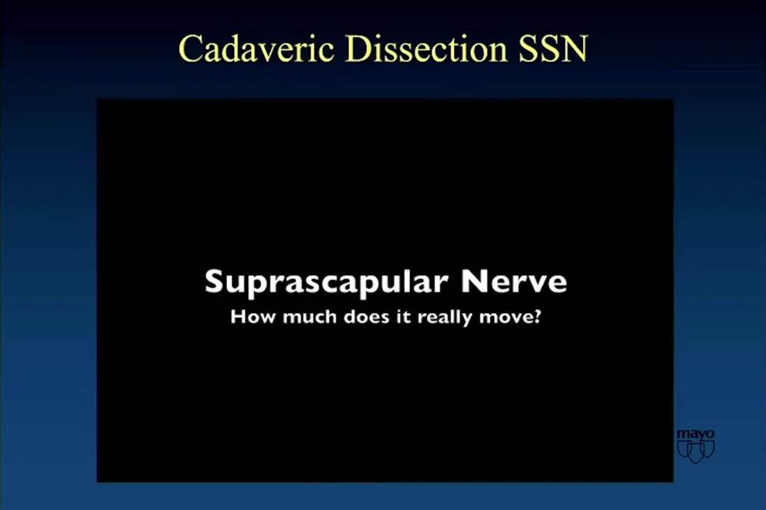 Suprascapular Nerve Release and Neurotization About the Shoulder