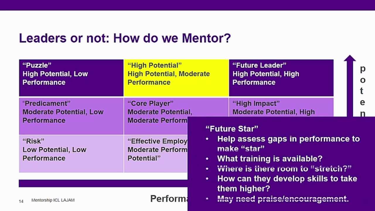 Mentorship and Leadership: How to Identify and Realize Potential Through Mentorship