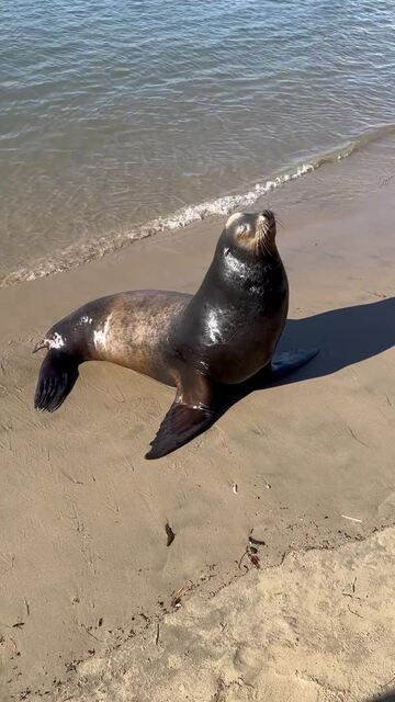 KIDDIE BEACH PARK - 2974 S Victoria Ave, Oxnard, California - Beaches ...