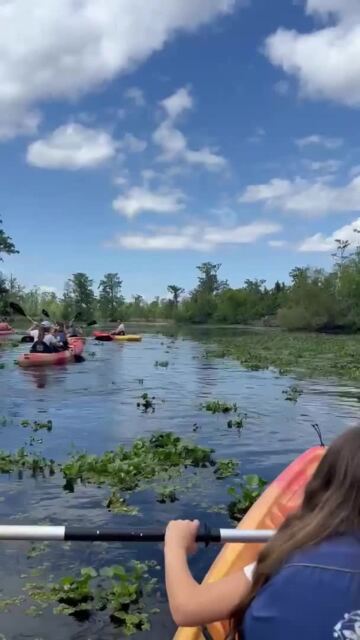 Kayaking in the bayou