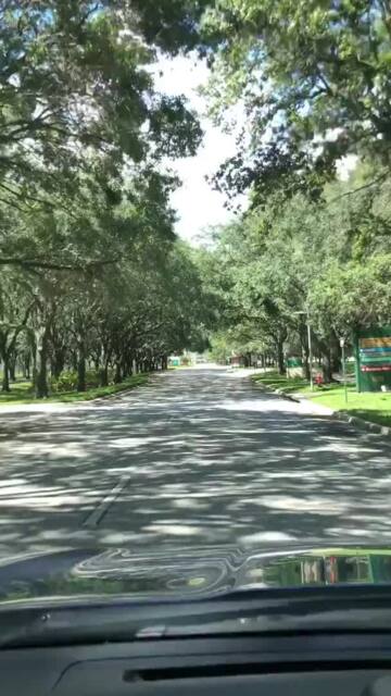Photo of University of South Florida - Tampa, FL, US. Tree Campus USA