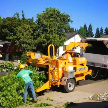 Photo of Genesis Tree Services - Sacramento, CA, US. Great service! 4 liquidambar removed & stumps ground. Efficient ddisposal. Fair price. Friendly & courteous crew. I'll use them again.