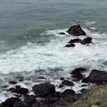 SONOMA COAST STATE PARK - 197 Photos & 50 Reviews - 9530 Goat Rock Rd ...