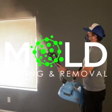 Photo of MOLD TESTING & MOLD REMOVAL SERVICES FONTANA - Fontana, CA, US. Mold Testing & Mold Removal Fontana 951-236-5181