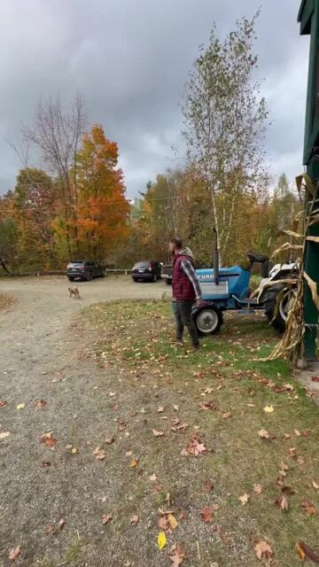 Photo of North Country Orchard - Whitefield, NH, US. Playing fetch with woody