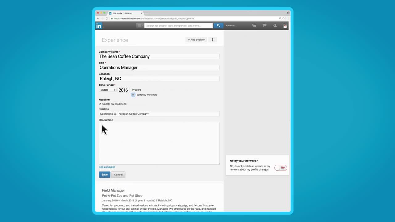 LinkedIn Experience