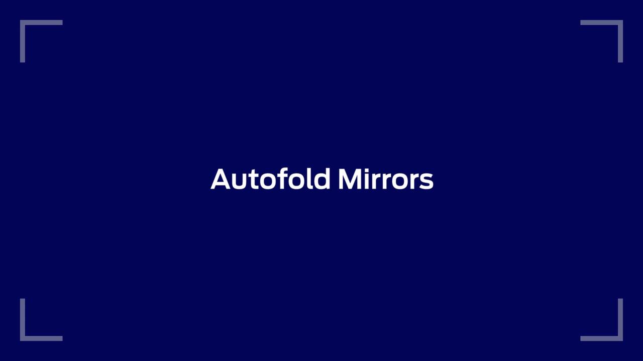 Mirror Features
