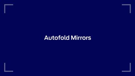 Mirror Features