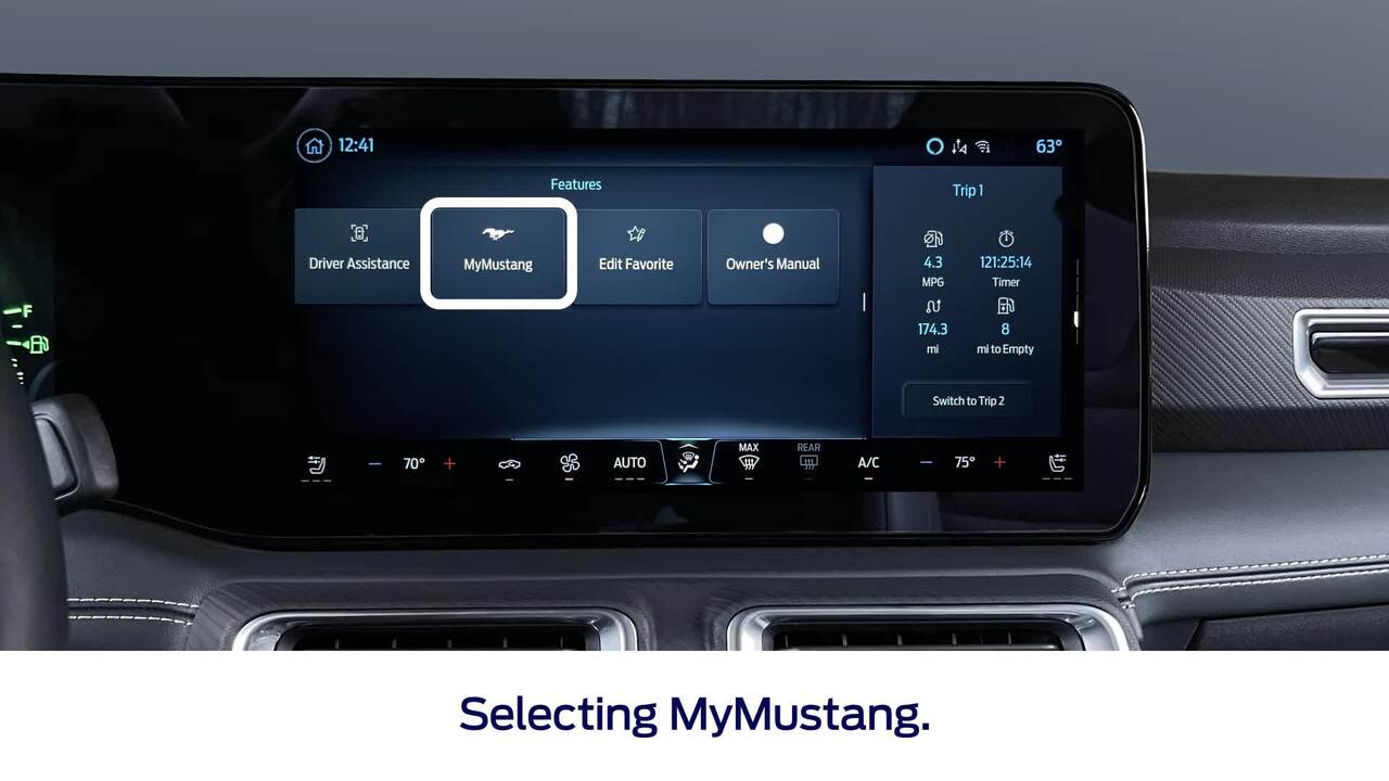 Mustang My Color