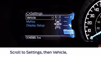 Ranger Oil Life Reminder Reset