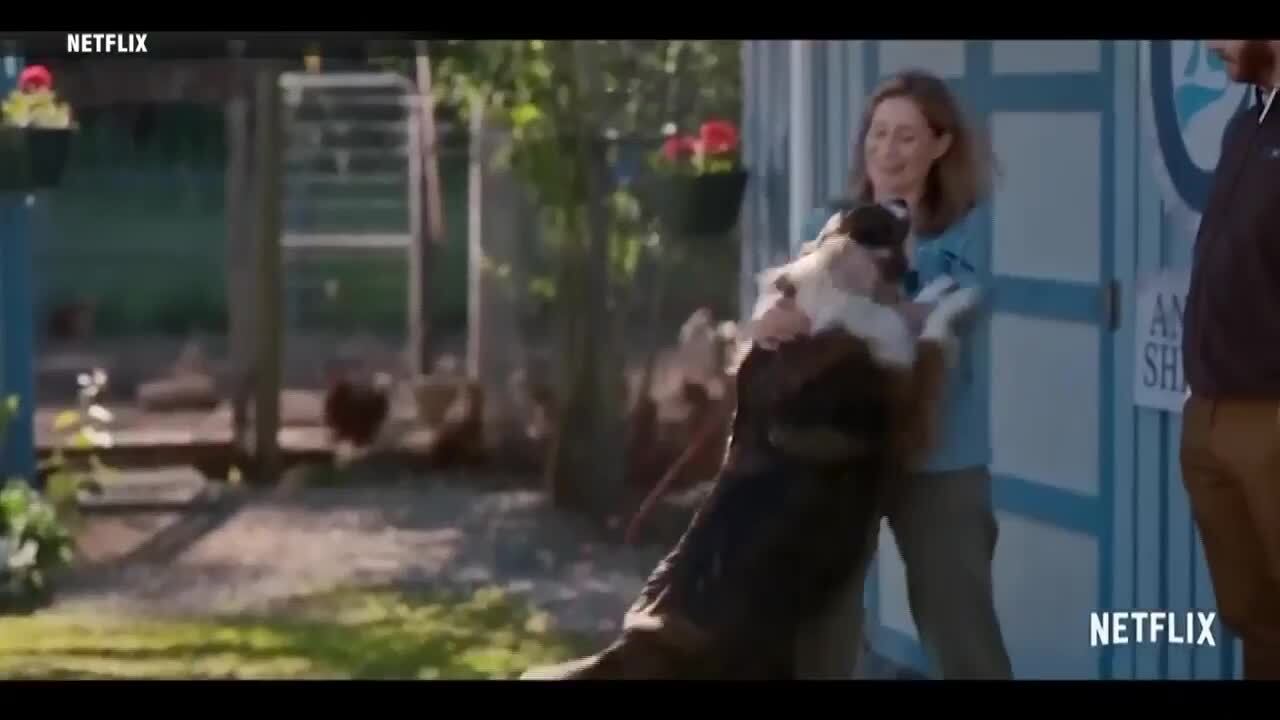 Is a dogs purpose on netflix tidehe