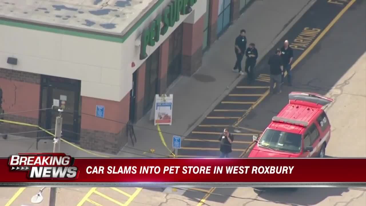 Car slams into West Roxbury pet store Boston News Weather