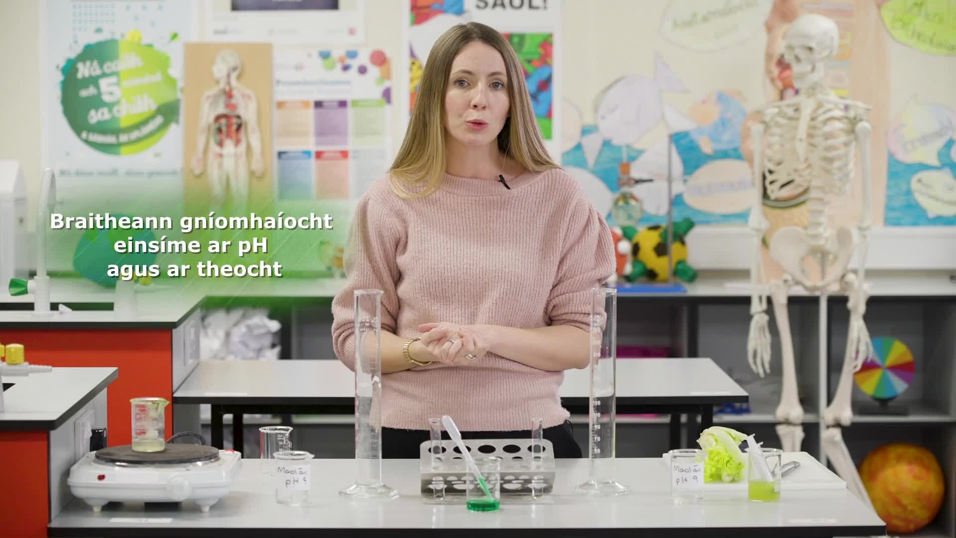 Bitheolaíocht