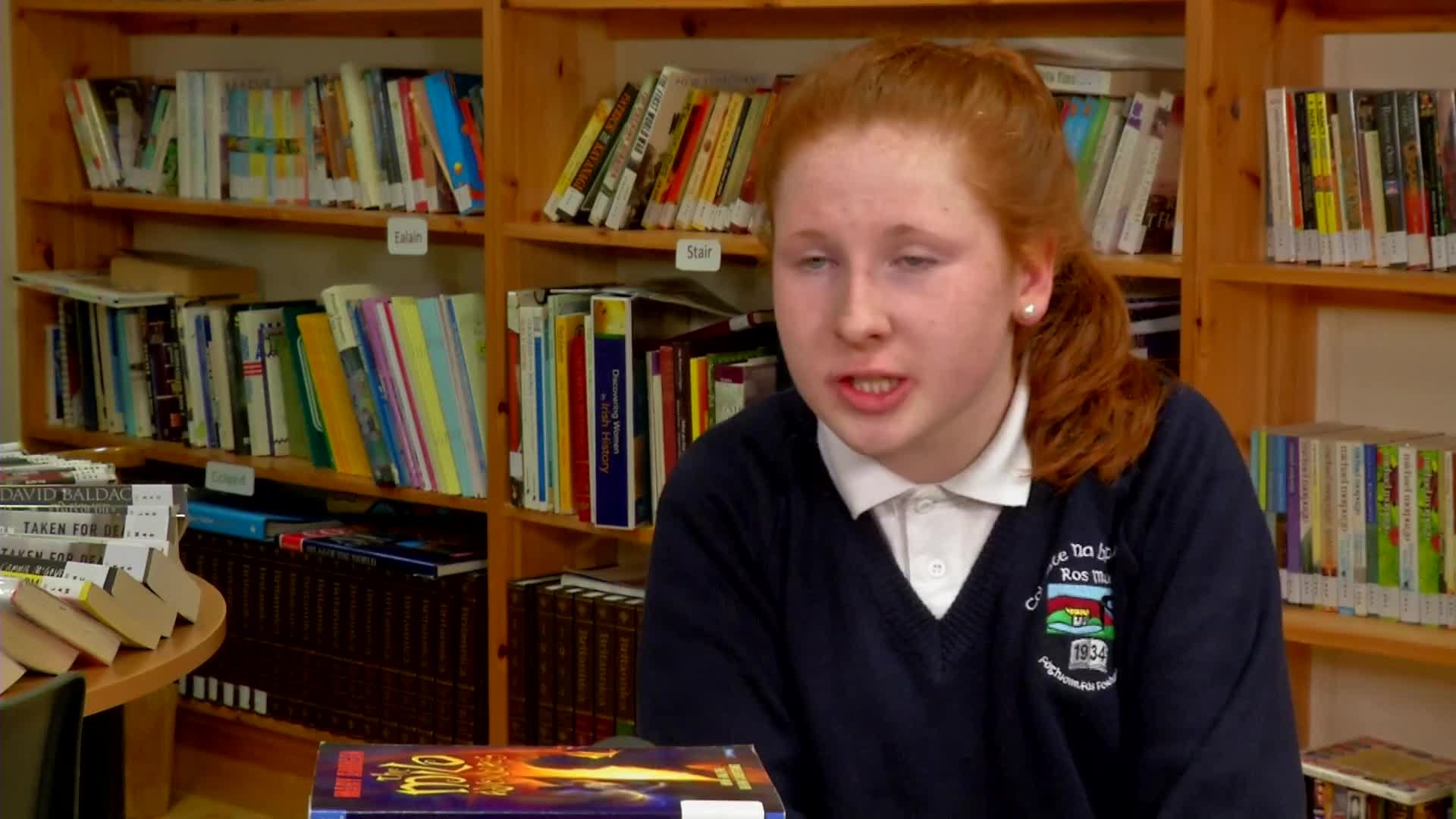 An Scoláire Féin