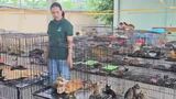 Ho Chi Minh City cat seizure_Broll_2026_KH
