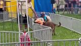 Illinois Banana Derby - 2025 - Broll