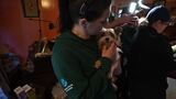 MD ART dog rescue - Harford County - 2025 - Broll