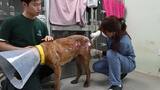 HWFA_SK_Dog Meat Farm Fire_Tosas_2025_KH_BROLL