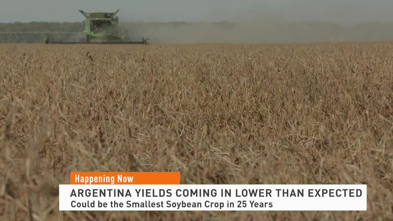 Argentina Soybean Crop Smallest in 25 Years Due to Historic Drought