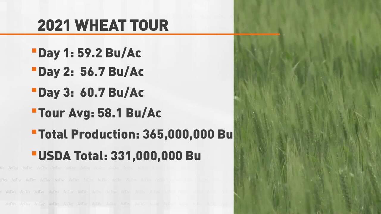 Kansas Wheat Tour Wrap Up 052121 NEWS FEED Farm Journal TV