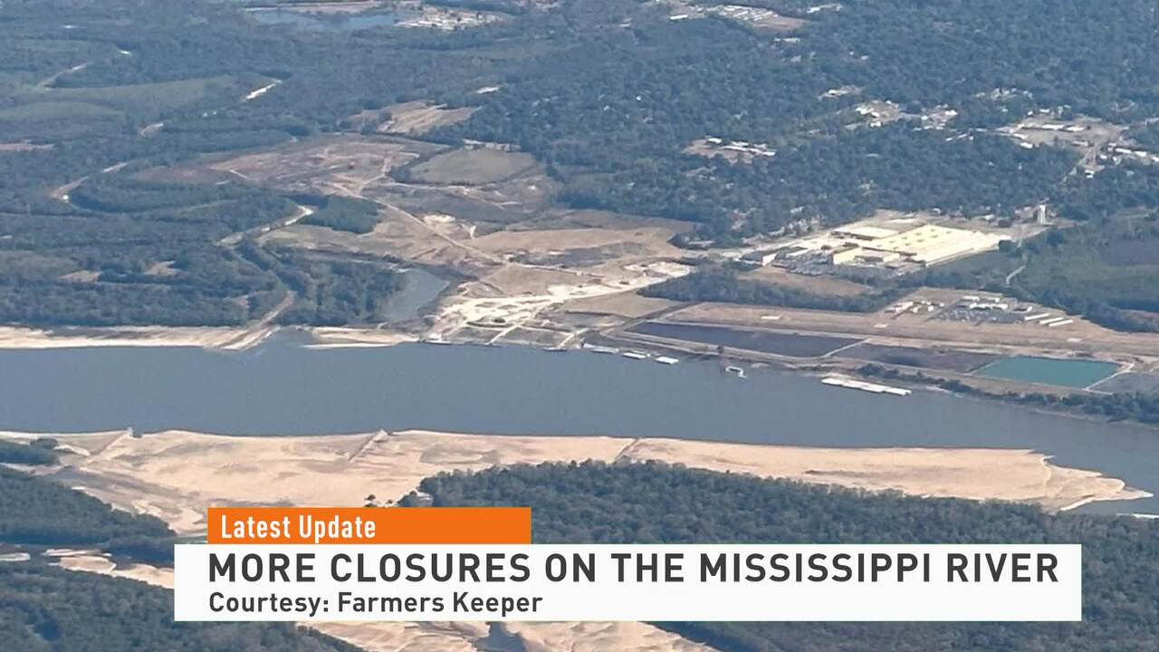 Market Close with Michelle Rook 081622 - THE LATEST - AgDay OTT