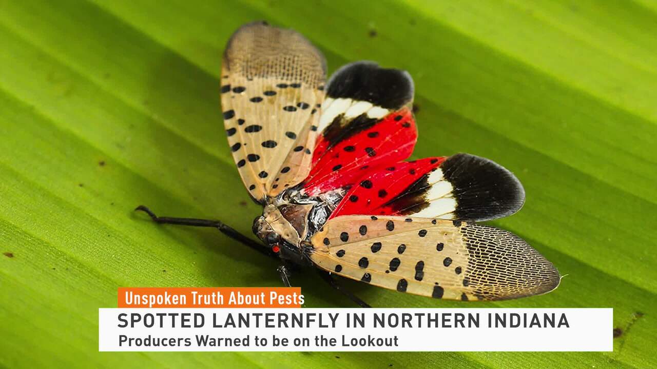 Unspoken Truth Spotted Lanternfly 082422 - NEWS FEED - Farm Journal TV