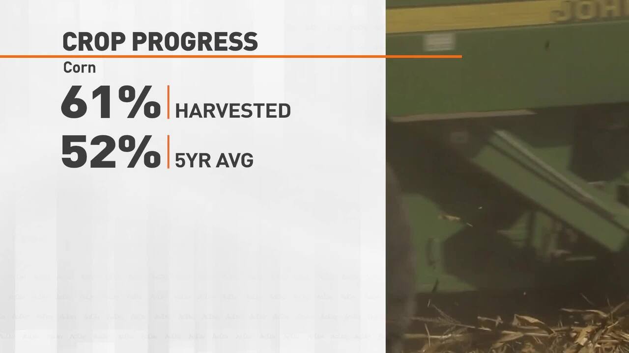 Market Close with Michelle Rook 081522 - THE LATEST - AgDay OTT