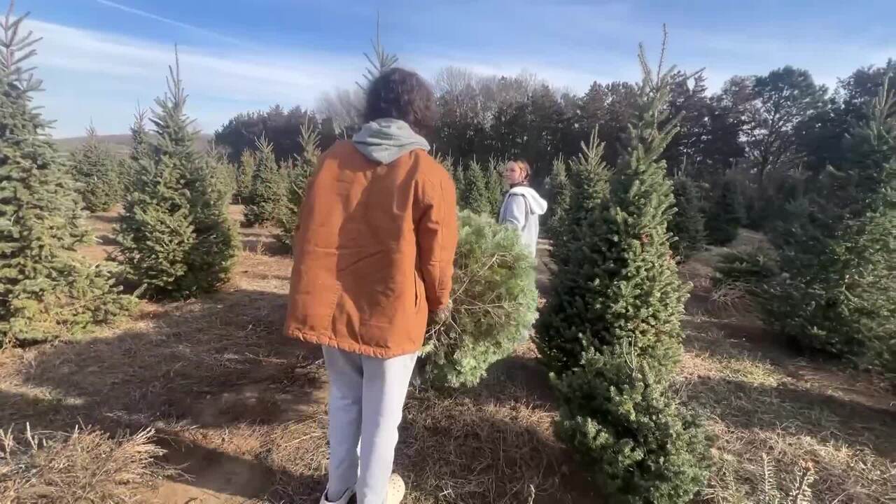 Christmas Tree Farm Helps Families Make Memories