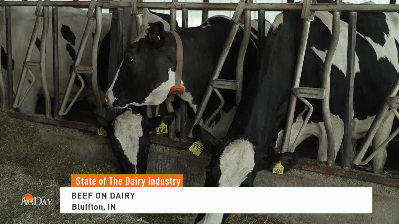 AgDay 05/23/24 - AGDAY - Farm Journal TV