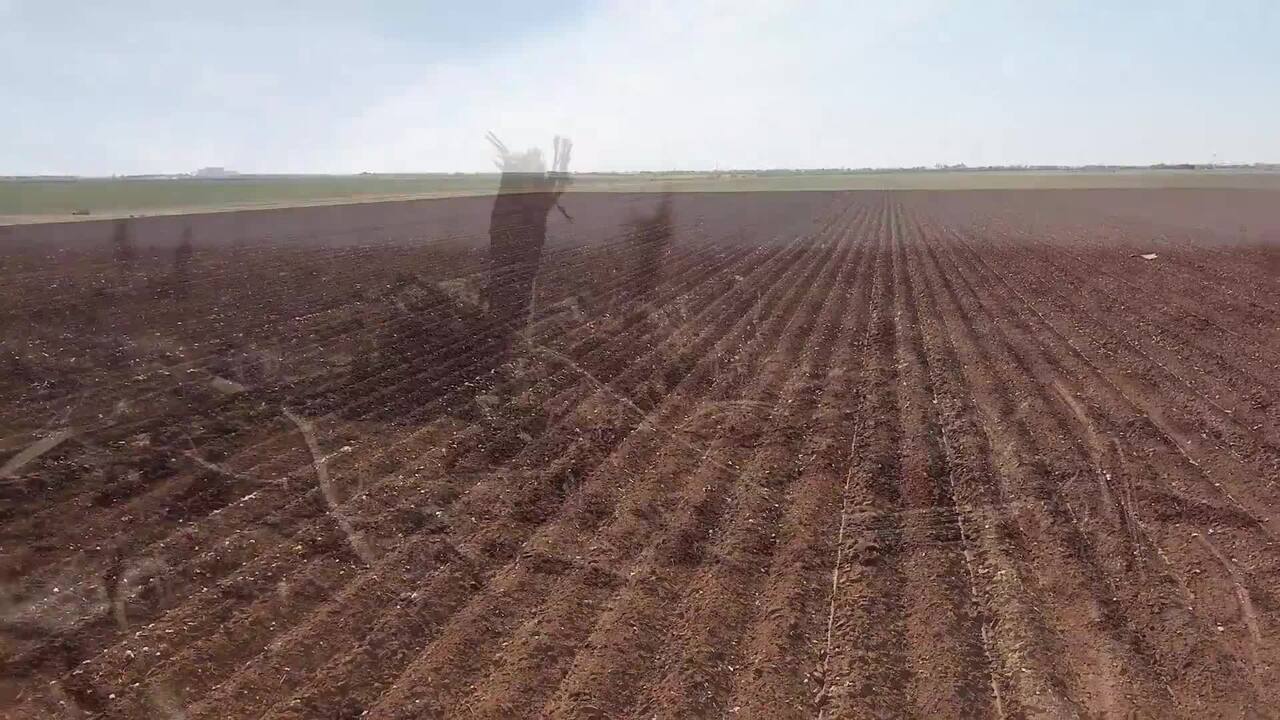 Growing a Crop This Year is Crucial for Drought-Stricken Texas 