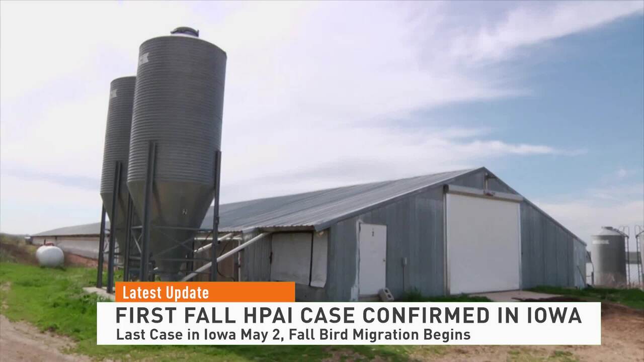 Market Close with Michelle Rook 081522 - THE LATEST - AgDay OTT