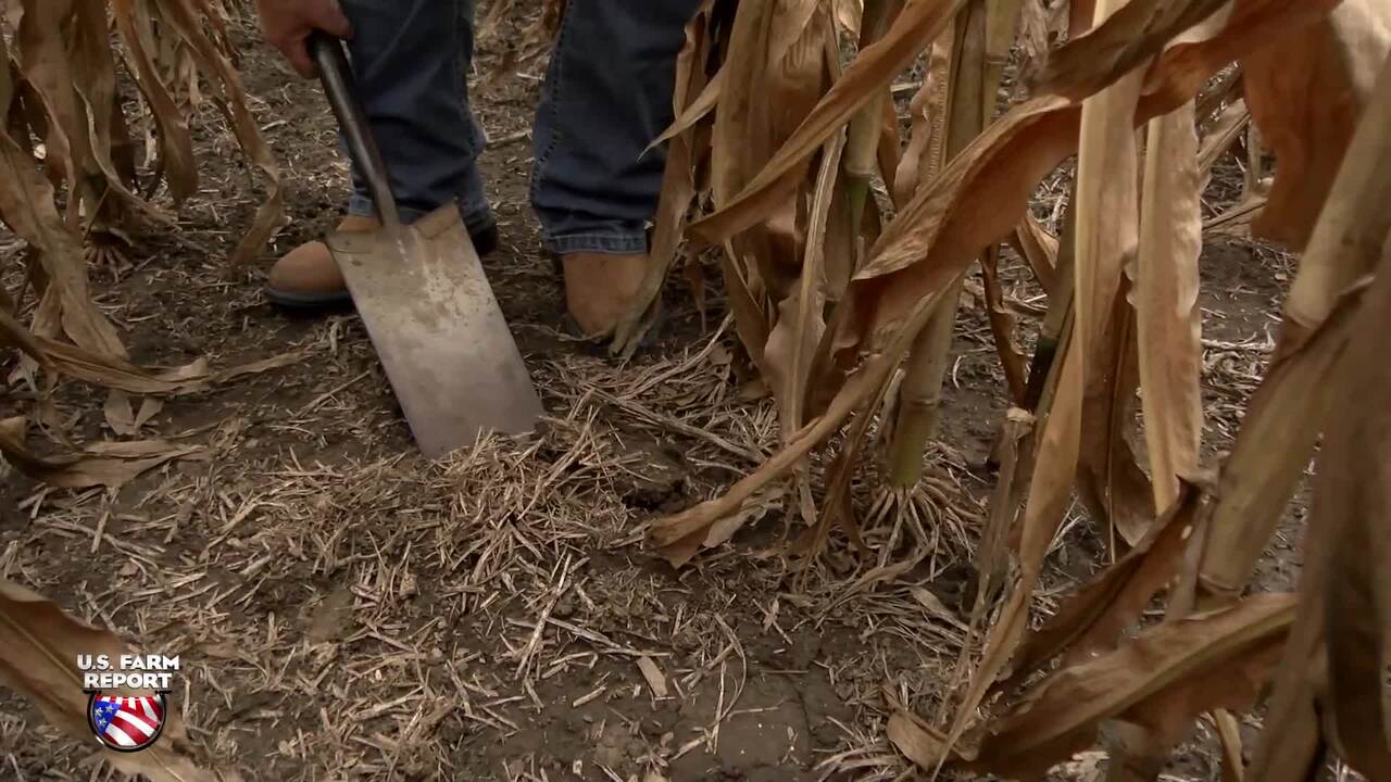 Break a Corn Soybean Rotation and Improve Soil Health