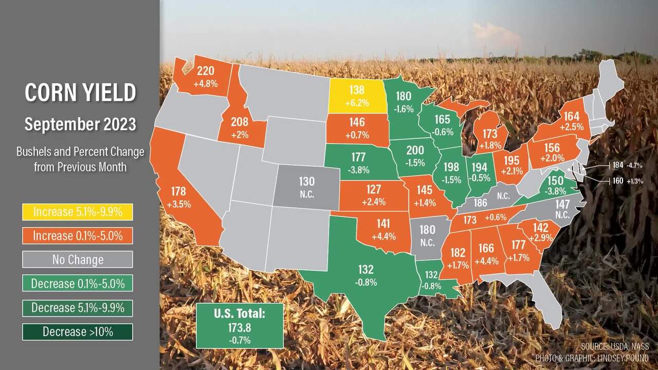 USDA Tightens Balance Sheet on Soybeans but Raises Carryout on Corn