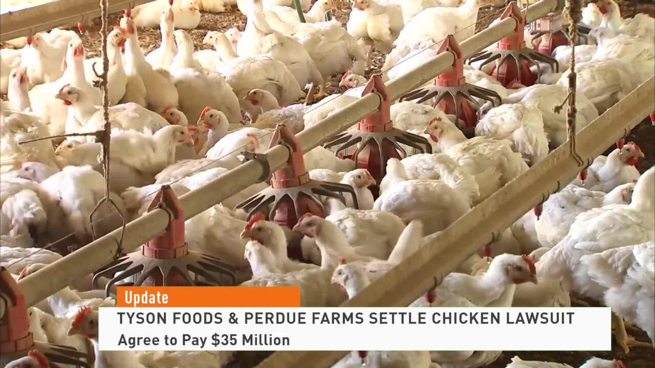 Chicken Lawsuit Settlement 090721 NEWS FEED Farm Journal TV