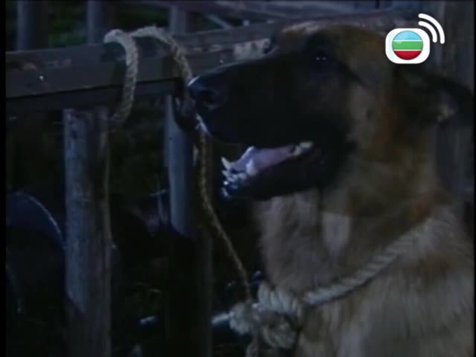 帝女花-Perish in the Name of Love