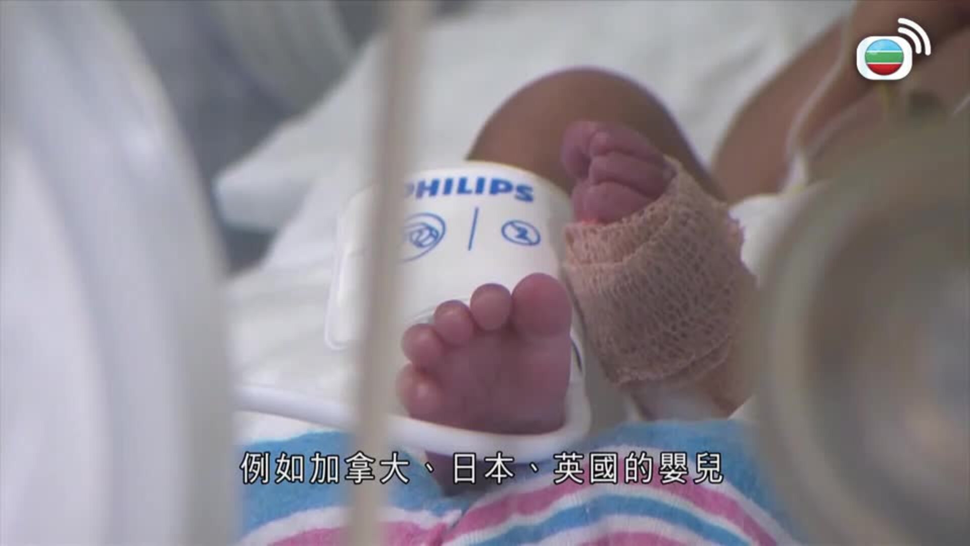美加新聞-US-Canada News