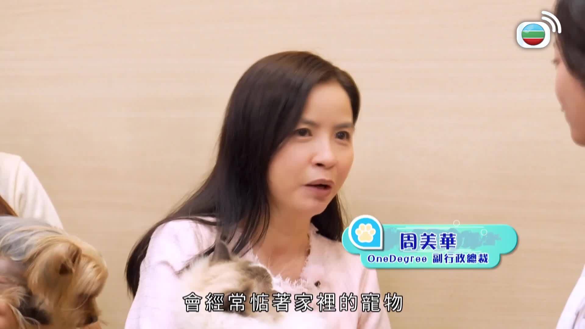 寵你一世-Paws Of Love
