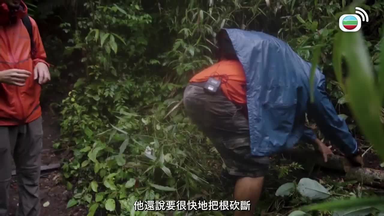 Episode 9