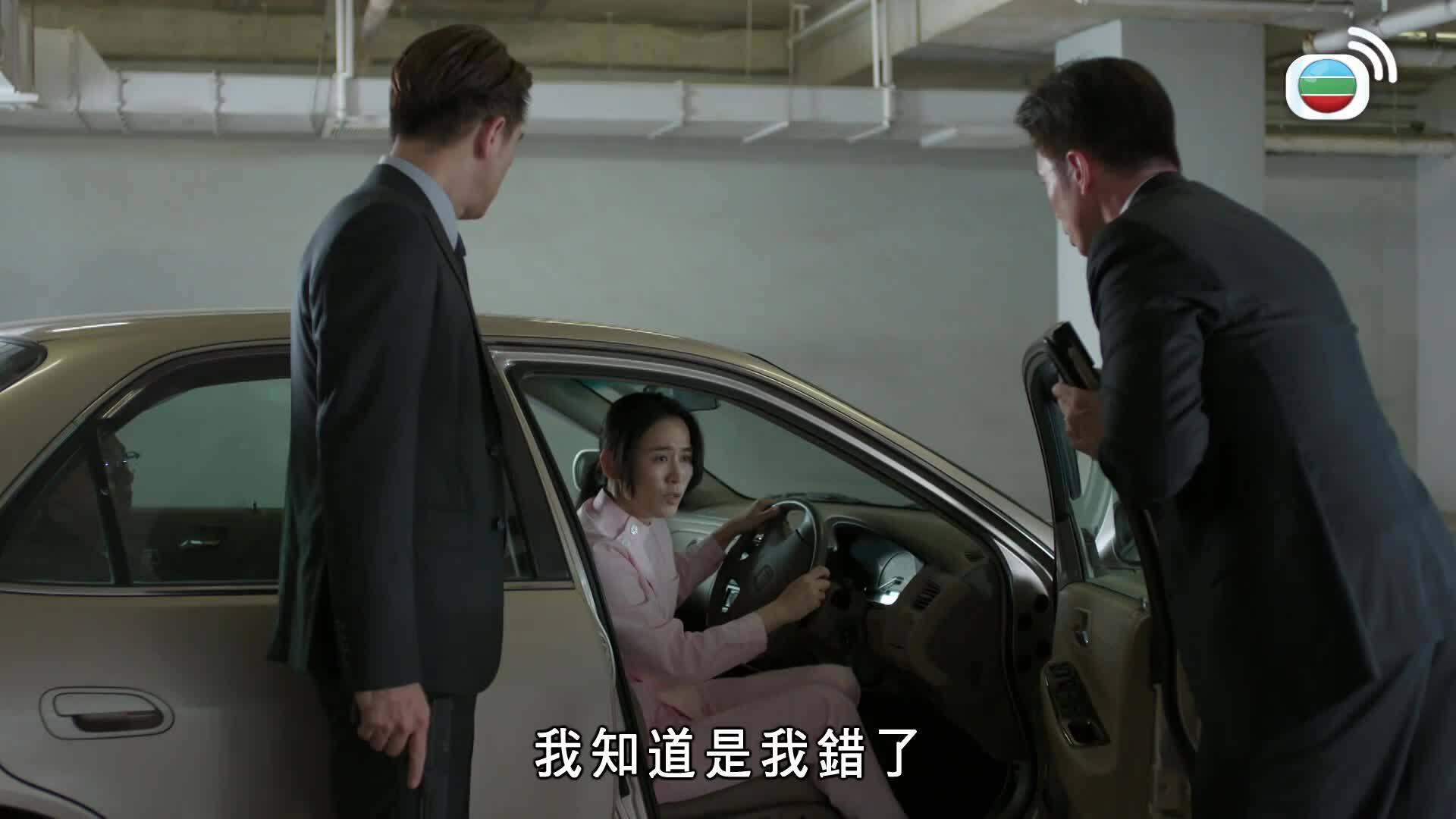 Lực Lượng Chấp Pháp-執法者們