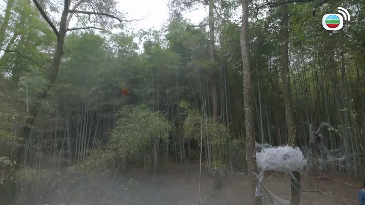 第29集