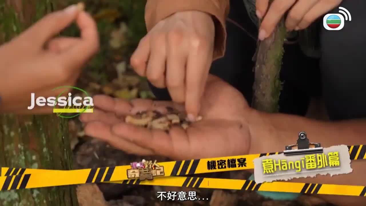 Tập 17