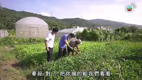 Tập 23