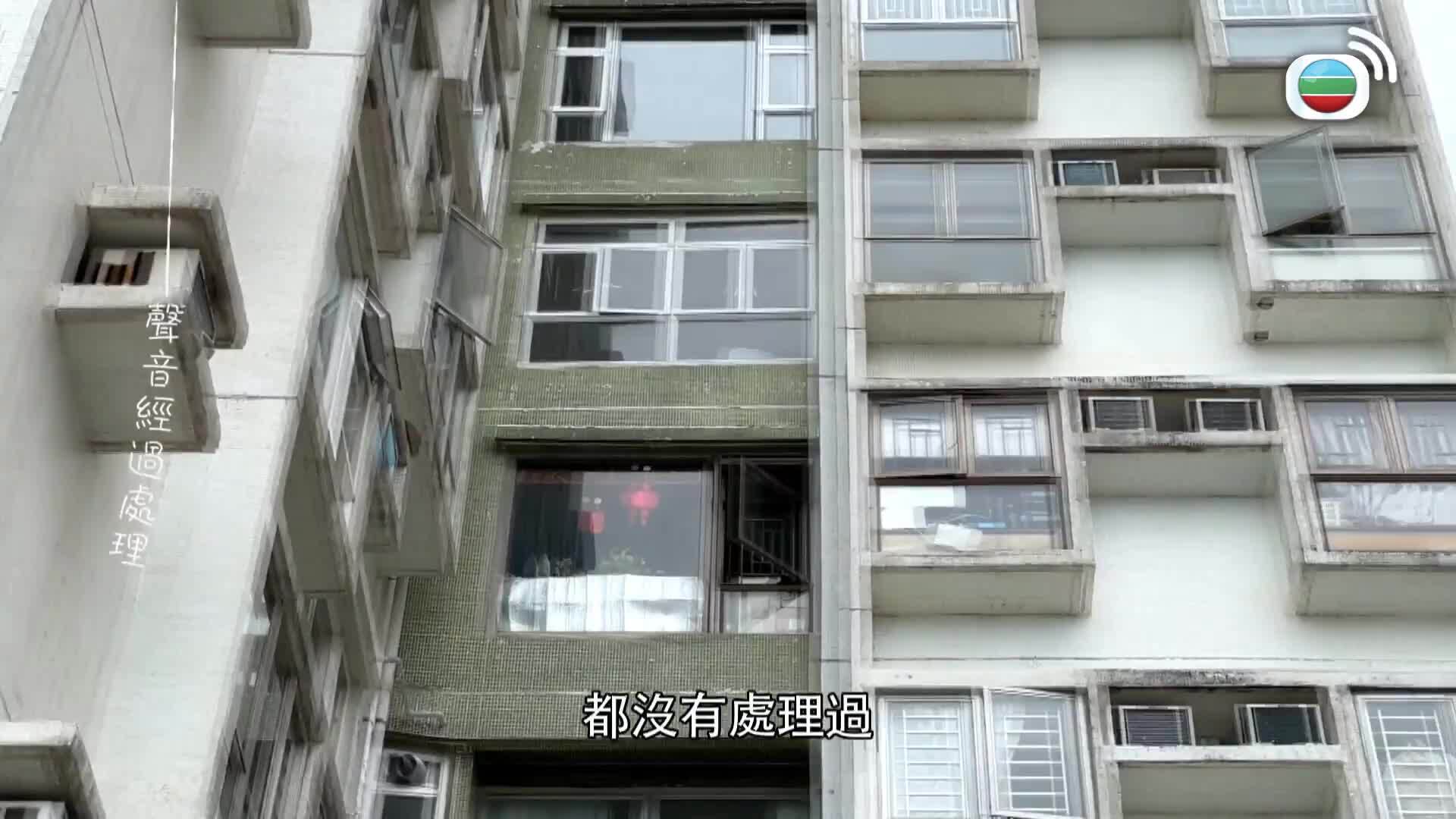 東張西望-Scoop