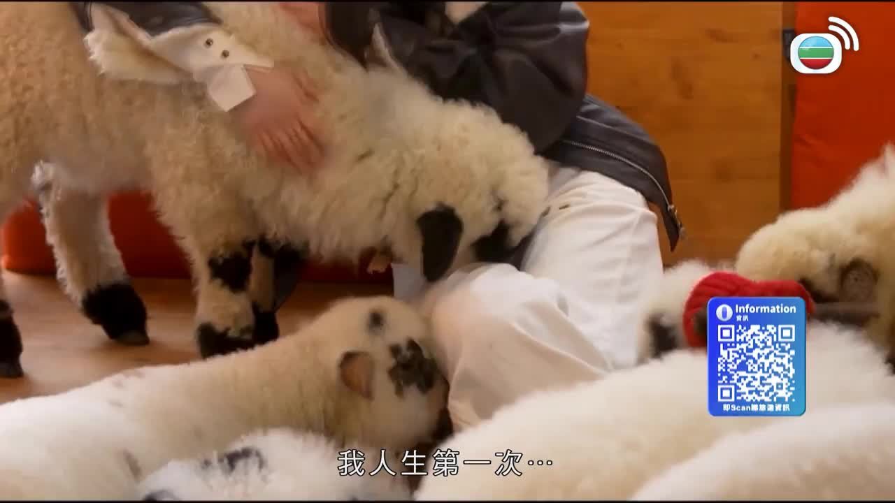 第01集