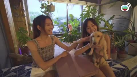 Tập 2