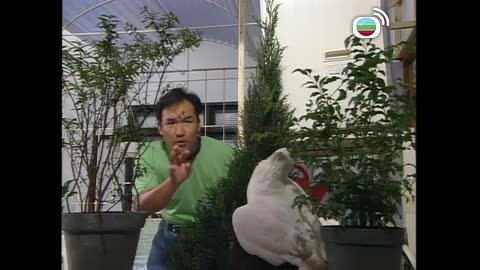 Tập 41
