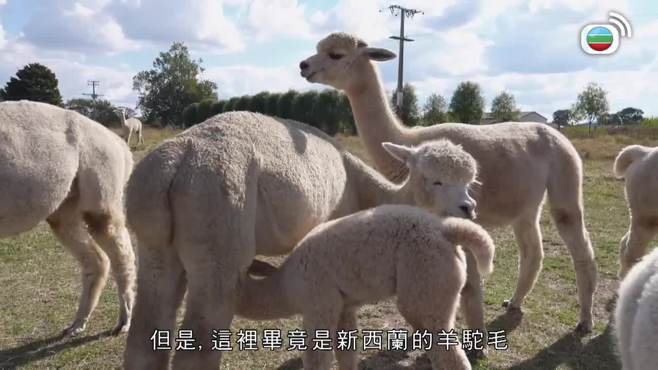 第03集