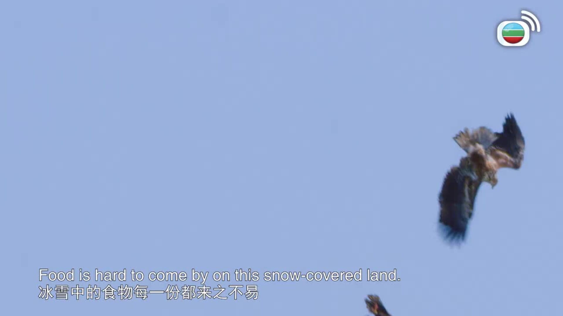 遇見最極致的中國 (國際版)-Exploring China’s Ultimate Natural Beauty